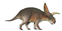Ilustracja