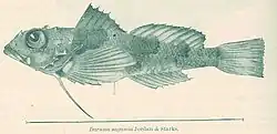 ilustracja
