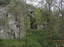 Widok na Skurwysyna
