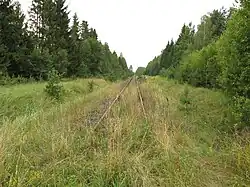 Zdjęcie LK37