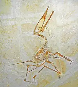 Ilustracja