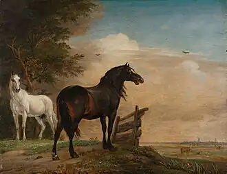 Dwa konie na łące przy płocie, 1649, Rijksmuseum, Amsterdam