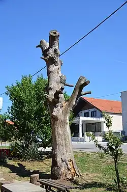 ilustracja