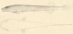ilustracja