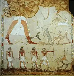 ilustracja