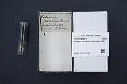 ilustracja
