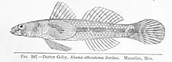 ilustracja