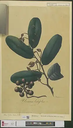 ilustracja
