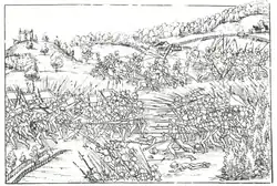 Ilustracja