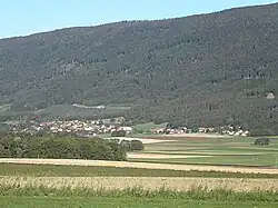 ilustracja