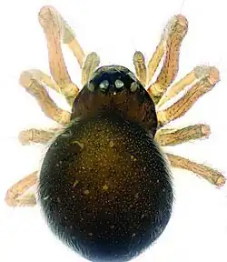 Ilustracja