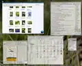 Эффект Масштабирование позволяет быстро переключиться на нужное окно