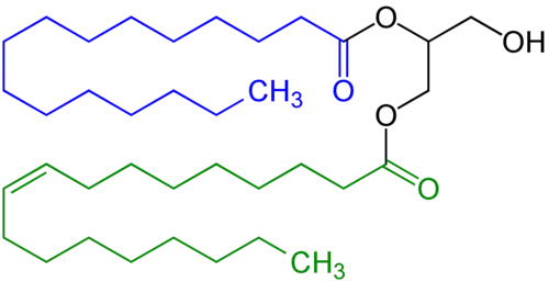 Diglyceride, in this example with a saturated fatty acid residue (highlighted blue) and a unsaturated fatty acid residue (highlighted (green).