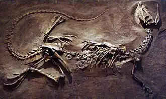 Дилофозавр (Dilophosaurus)