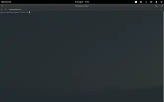 OS Freya Terminal