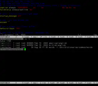 Скриншот программы GNU Screen