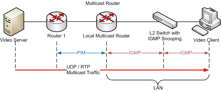 IGMP architecture example