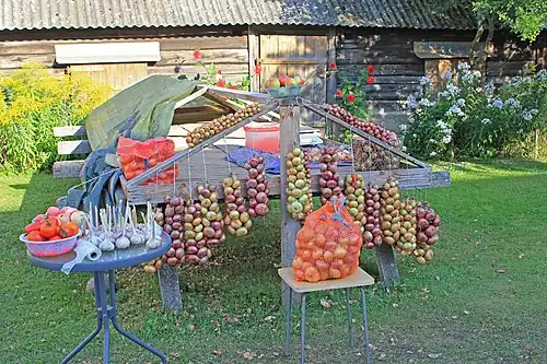 Продажа местных сельхозпродуктов на «Луковом пути»