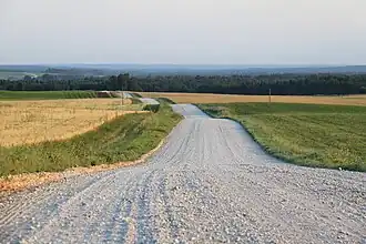 Дорога из деревни Тамса в деревню Лагуя