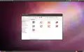 Ubuntu 10.10