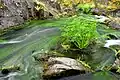 Потоки воды перед падением вниз