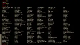 Скриншот программы xterm