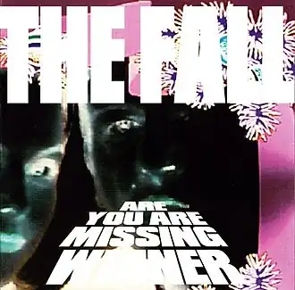 Обложка альбома The Fall «Are You Are Missing Winner» (2001)