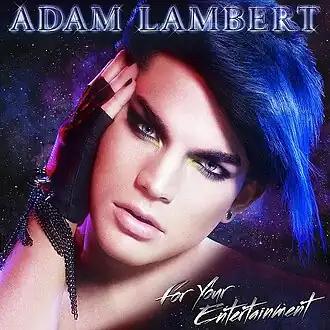 Обложка альбома Адама Ламберта «For Your Entertainment» (2009)