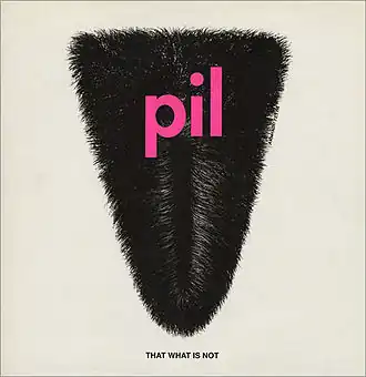 Обложка альбома Public Image Ltd «That What Is Not» (1992)