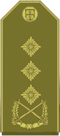 Генерал-підполковник (серб. Генерал-потпуковник) (Сухопутні війська Сербії)