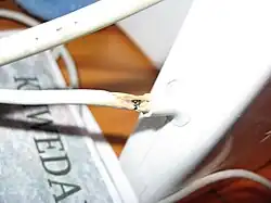 MagSafe із зношеними дротами та розплавленою ізоляцією, як стверджується в колективному позові 2009 року