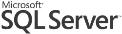 Microsoft SQL Server Logo