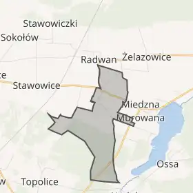 Мапа